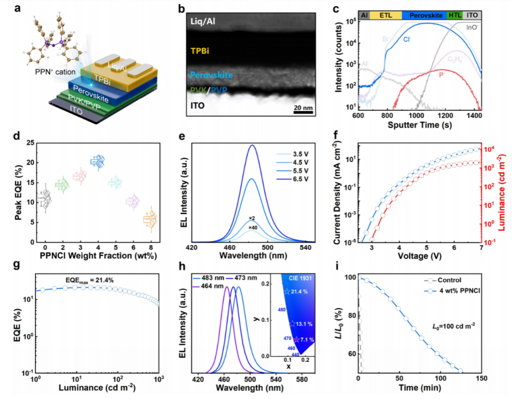 perovskite LEDs