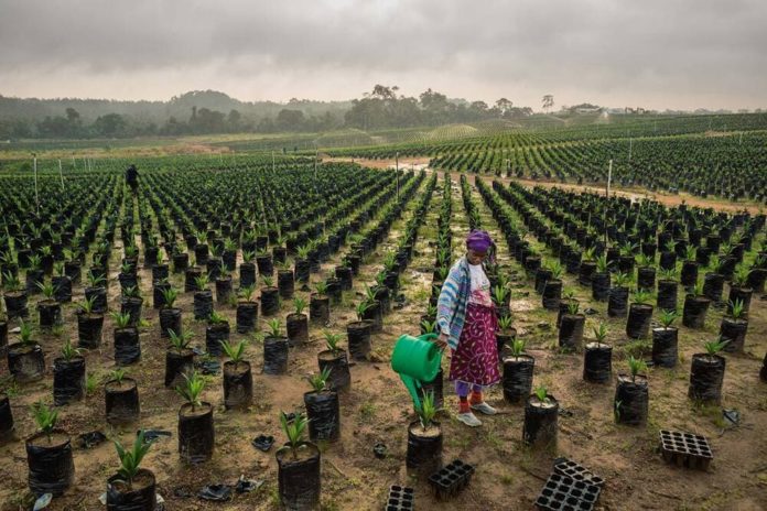 space technologies in African agriculture